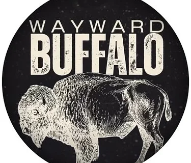 On Stage with The Wayward Buffalo