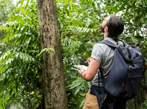 Garden & Estate Insider: It’s a BioBlitz