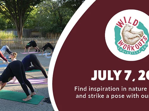 Wild Workout: Pilates (Giraffe)