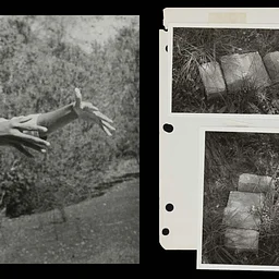 Divination: Beverly Buchanan & Dionne Lee