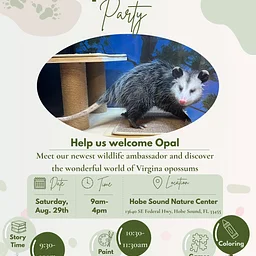 Opossum Party