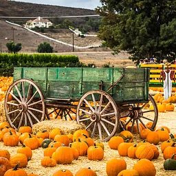 Underwood Family Farms’ 29th Annual Fall Harvest Festival