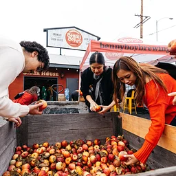 Applefest Weekend 1