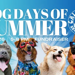 Dog Days of Summer Donation Drive + Fundraiser