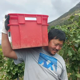 French Wine Dinner with Domaine H