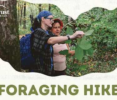 Foraging Hike at Wade Mountain Nature Preserve