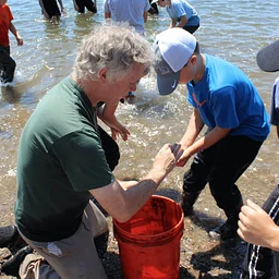 Fish Seining Net Adventure