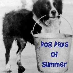 Exhibition: The Dog Days of Summer, Pets of the Peninsula