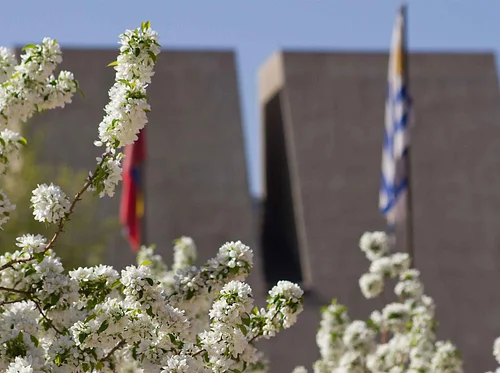 Saturday Special: Visual Arts Museum Tour