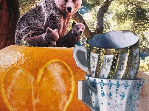 Connecting Through Collage to Your Animal Guide