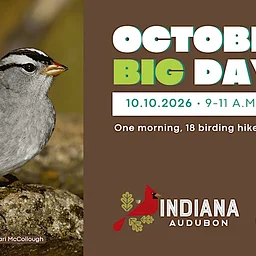 2026 October Big Day Hikes with ILPA