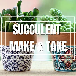 Interactive Succulent Bar