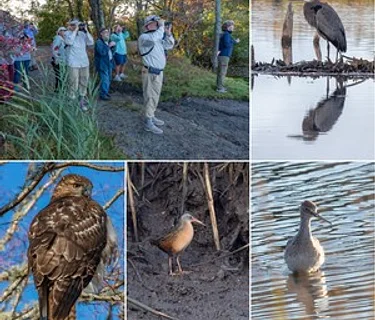 Birding Field Class