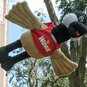 2026 Wawa Summer Fun Days