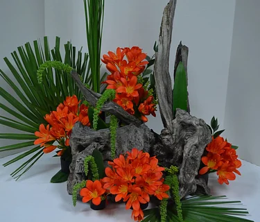 Talk and Demonstration: ‘Clivia Flower Arranging’ 