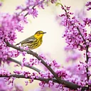 Friday Guided Nature Walks