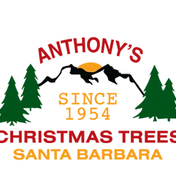 Anthony’s Christmas Trees