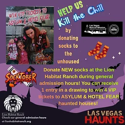 Drop Off NEW Sock Donations at the Lion Habitat Ranch for Socktober!