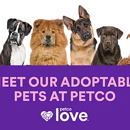 PetCo Adoption Day – Pinellas Park
