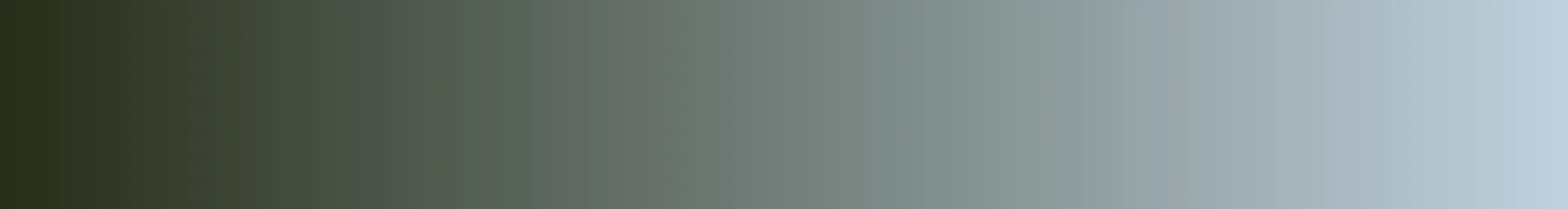 Loring Greenough House