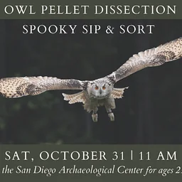 Zooarchaeology Owl Pellet Dissection Workshop