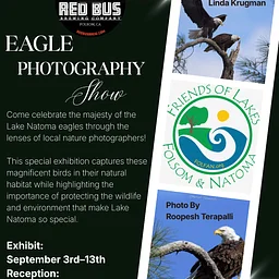 Eagle Photography Reception