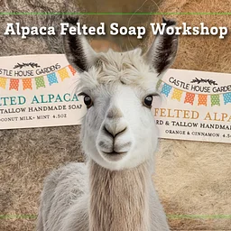 Felted Alpaca Soap - Morning