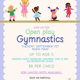 Open play gymnastics 