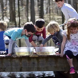 Pond Examinations