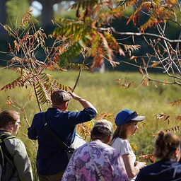 City of Forest Day – Forest Walk & Birding