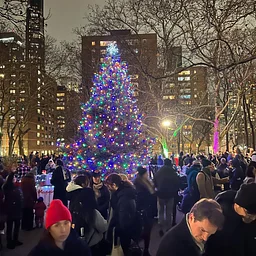 Fort Greene Tree Lighting