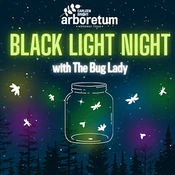 Black Light Night – with The Bug Lady