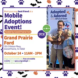 Mobile Adoptions @ Grand Prairie Ford