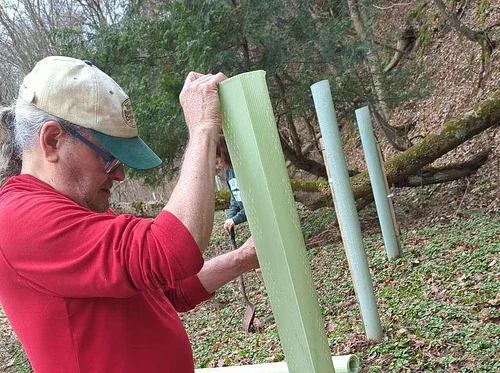 Tree Steward Program Field Training- Girty’s Woods