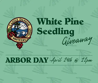 White Pine Seedling Giveaway