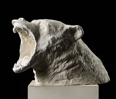 Sculpture Workshop & Multi-week Intensive (Ages 13-18)