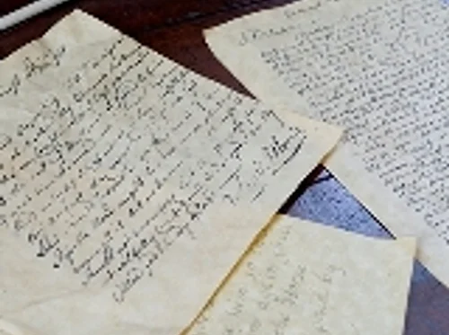 Member & Volunteer Appreciation Dinner and Annual Meeting