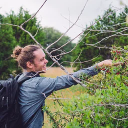 Foraging for Native Edibles