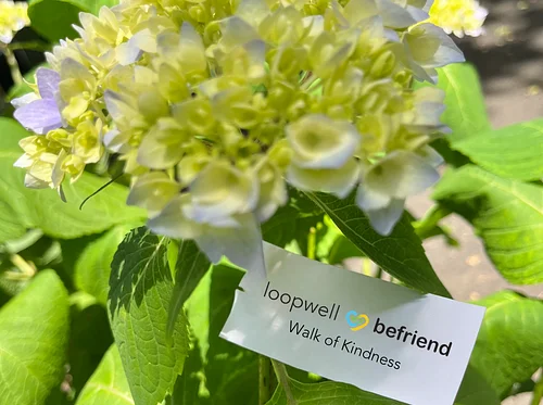 Befriend’s Walk of Kindness