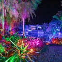 Johnsonville Night Lights in the Garden