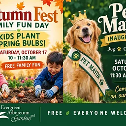 Pet Mayors Inauguration & Autumn Fest Family Fun
