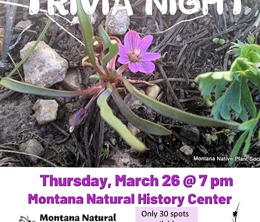 Trivia night – Missoula