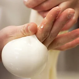 Mozzarella from Scratch