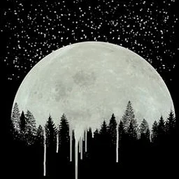 Adult Paint & Sip | Dripping Moon | Fridays | October 23rd 2026