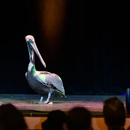Busch Wildlife Sanctuary Live Animal Show