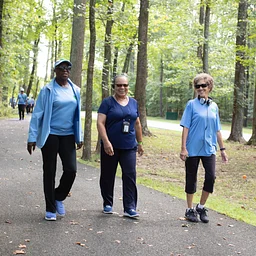 Walk With Ease