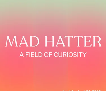 A Field of Curiosity