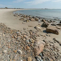 The Shifting Shore: Understanding Barrier Beaches (Duxbury)