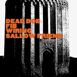 DEAD DOE/FIB/WIRING/SALLOW FRIEND