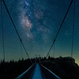 Adult Field Course: Grandfather’s Starry Skies